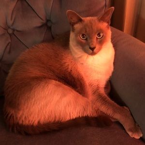 Meet your Posher, Sherry
